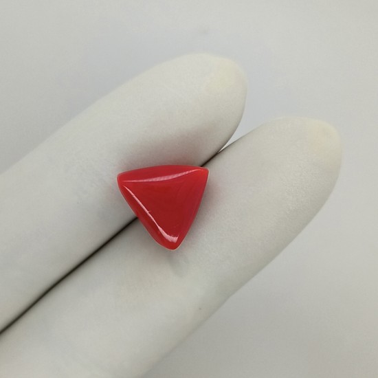 Coral (Moonga) 6.73 Ct Best Quality Coral (Moonga) 6.73 Ct Best Quality